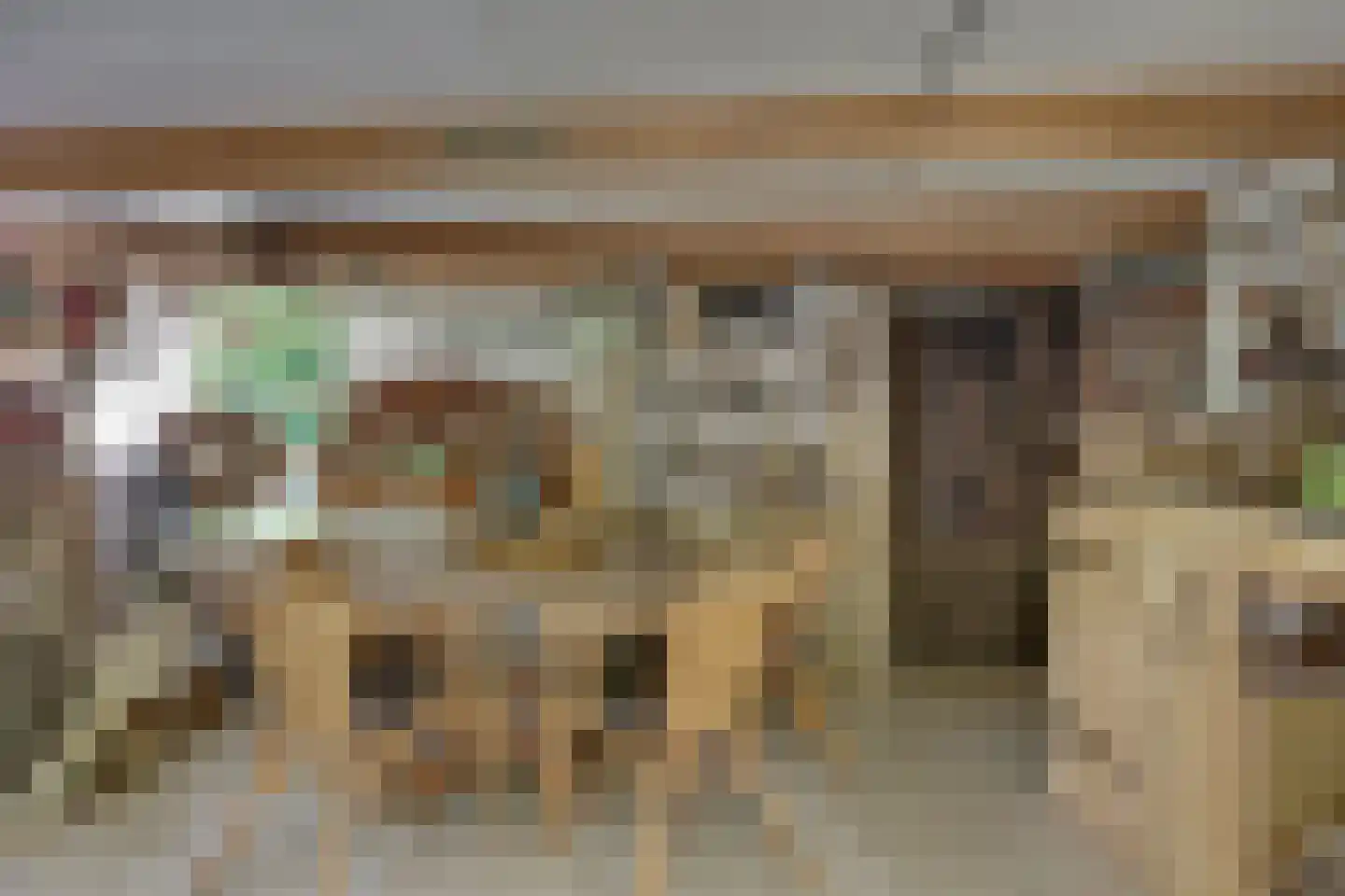 Vossebelt 4 Dalen thumbnail 39