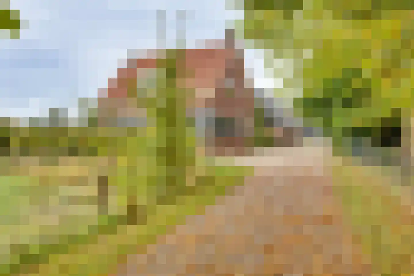 Vossebelt 4 Dalen thumbnail 4