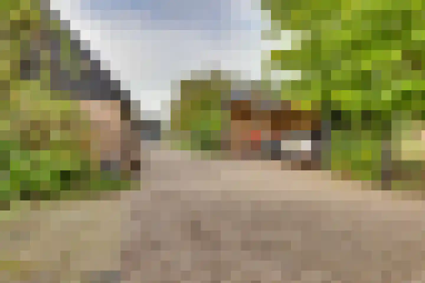 Vossebelt 4 Dalen thumbnail 41