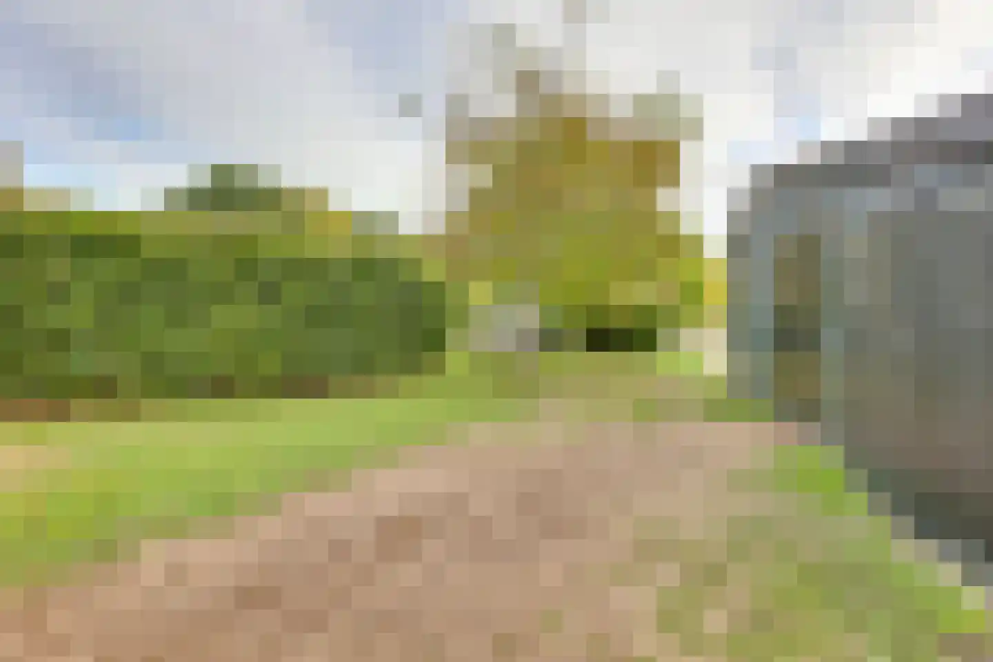 Vossebelt 4 Dalen thumbnail 47
