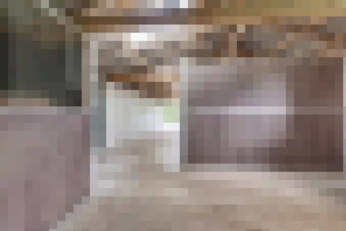 Vossebelt 4 Dalen thumbnail 50
