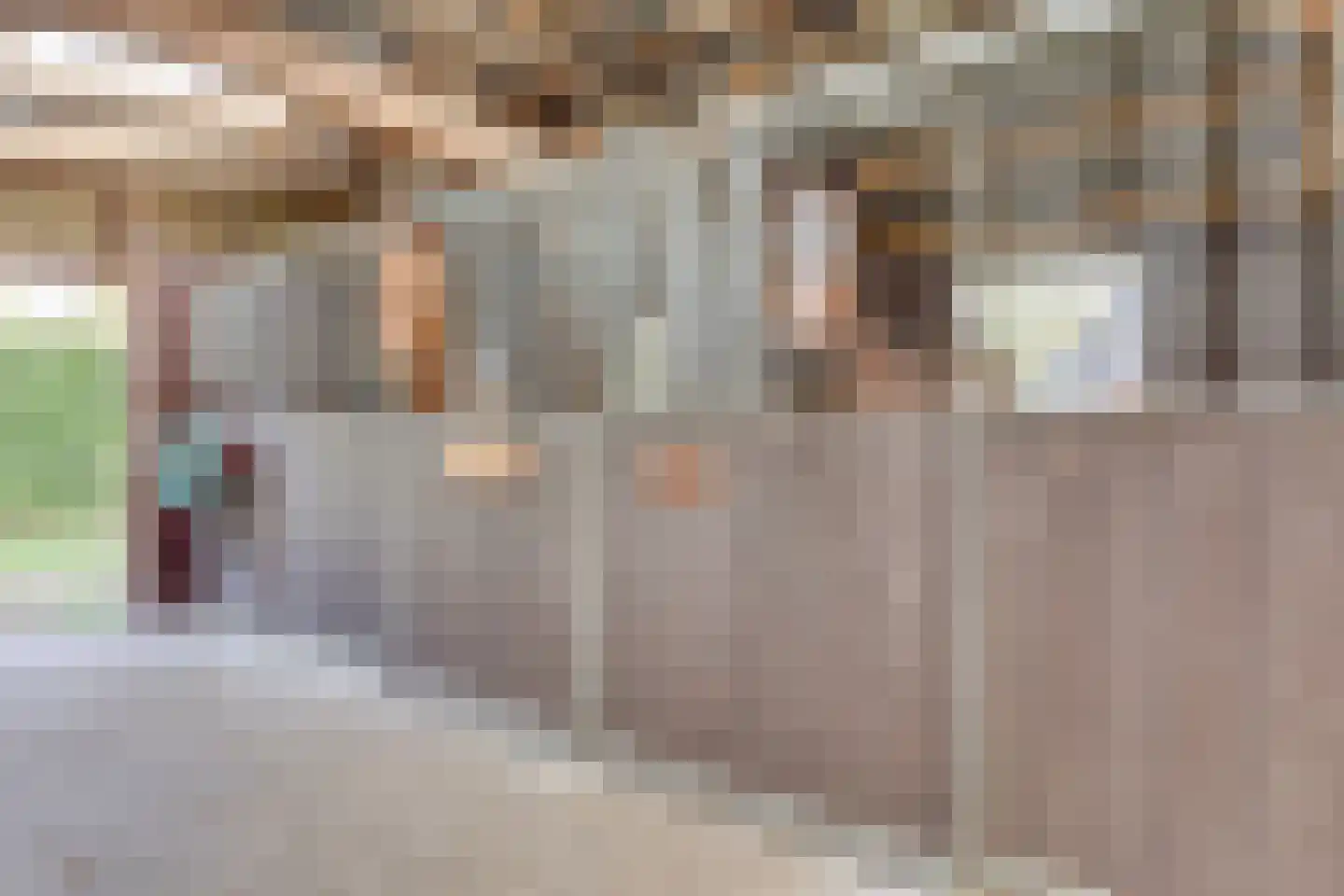 Vossebelt 4 Dalen thumbnail 52