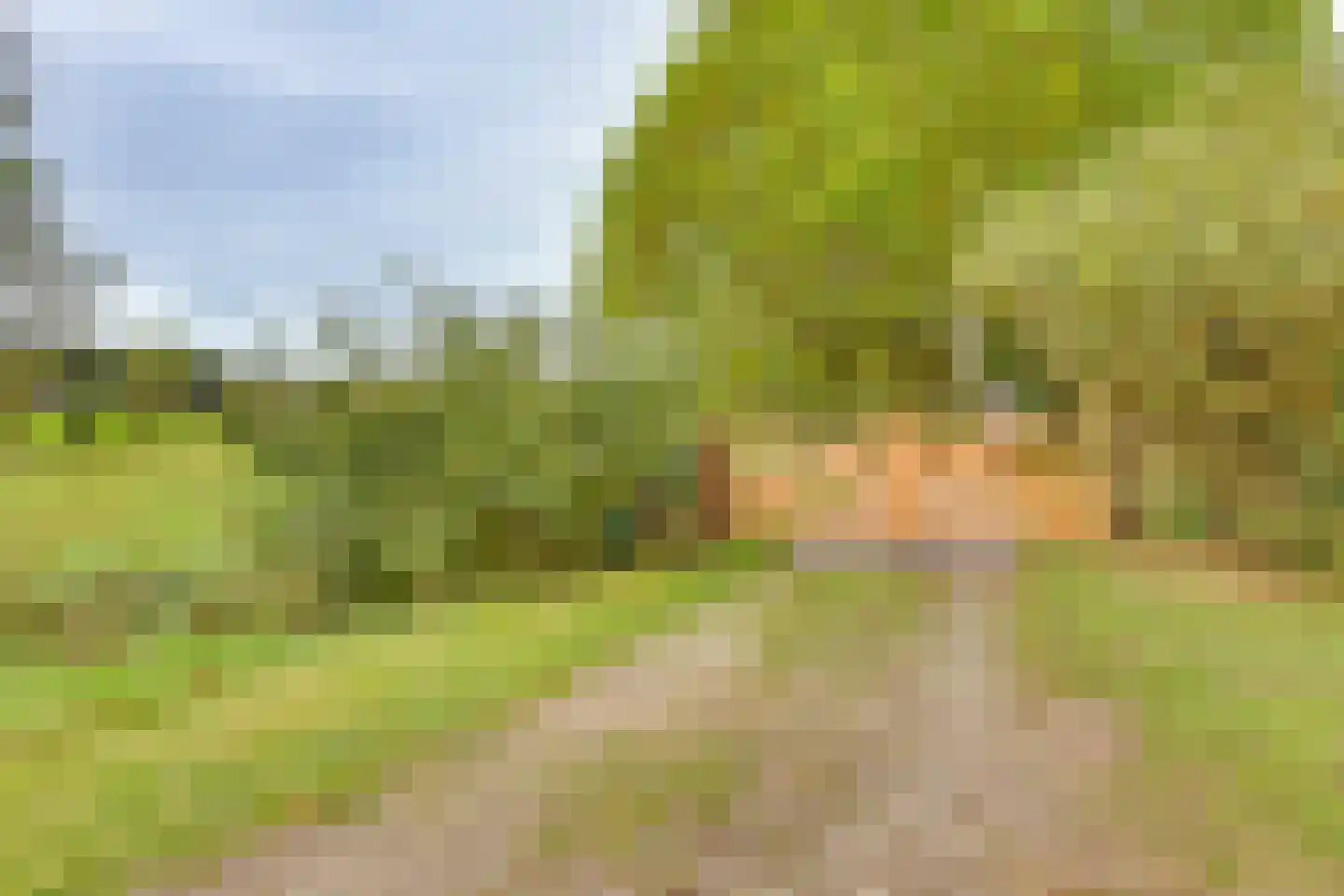 Vossebelt 4 Dalen thumbnail 59