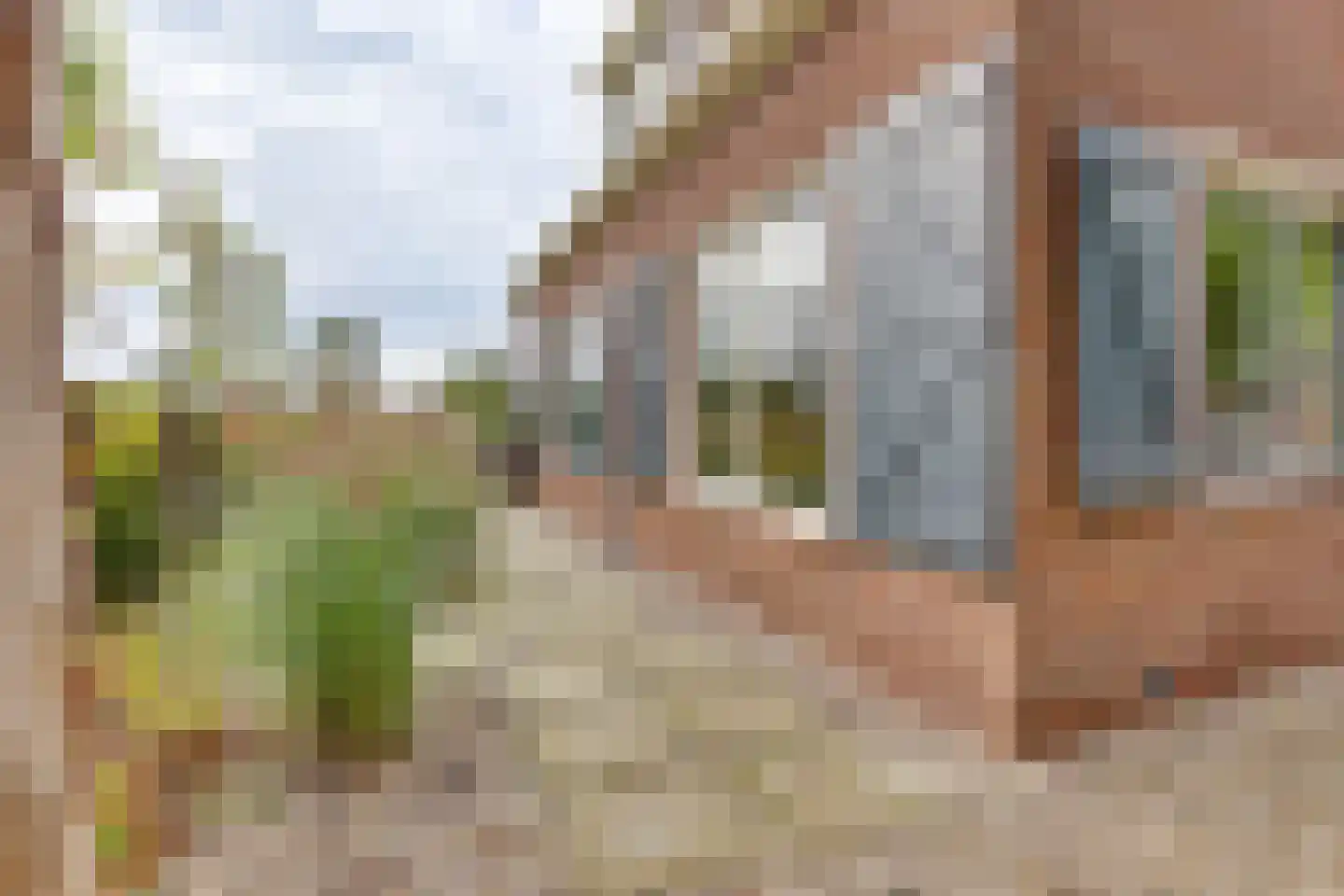 Vossebelt 4 Dalen thumbnail 6