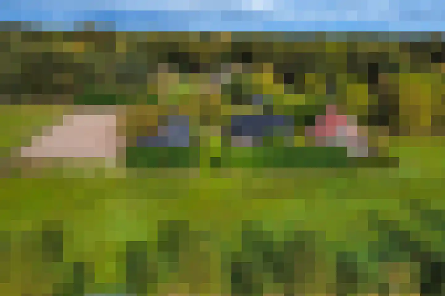 Vossebelt 4 Dalen thumbnail 61