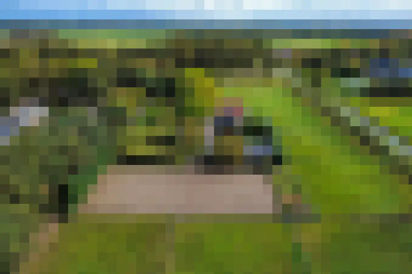 Vossebelt 4 Dalen thumbnail 62