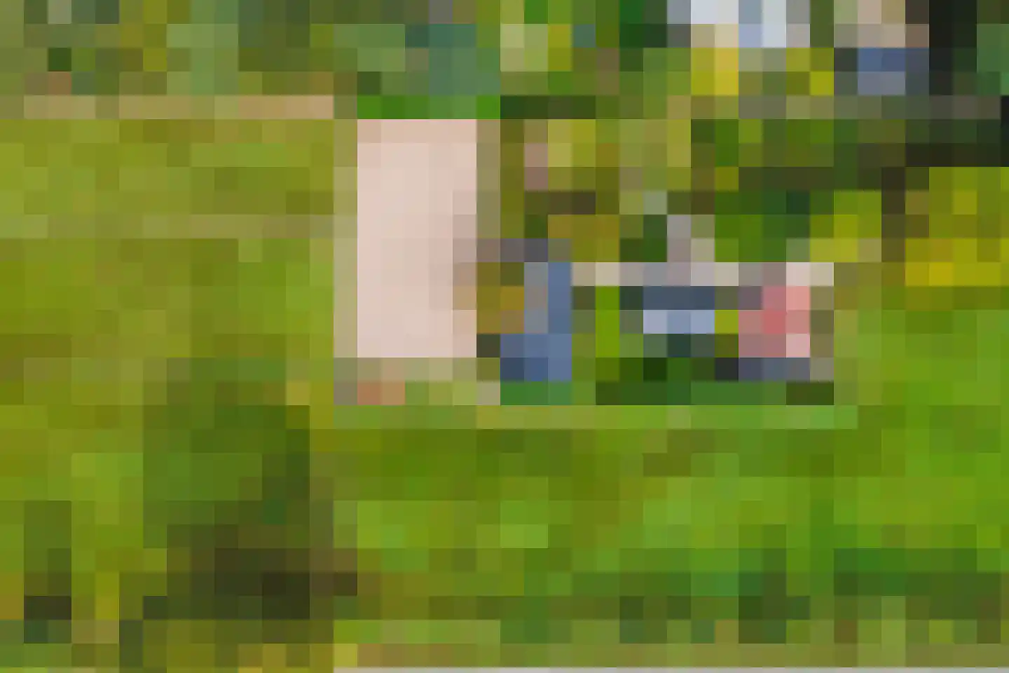 Vossebelt 4 Dalen thumbnail 63