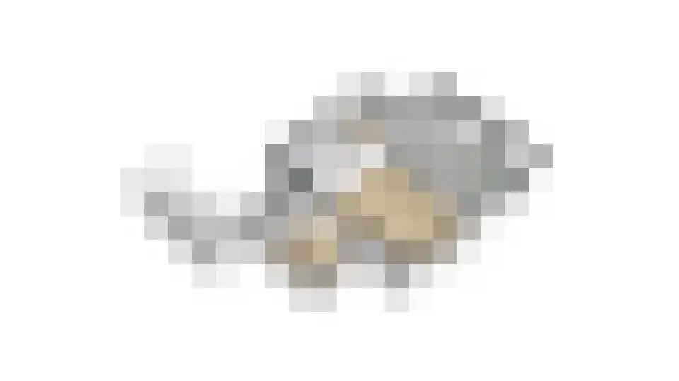 Vossebelt 4 Dalen thumbnail 65