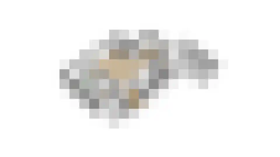 Vossebelt 4 Dalen thumbnail 66