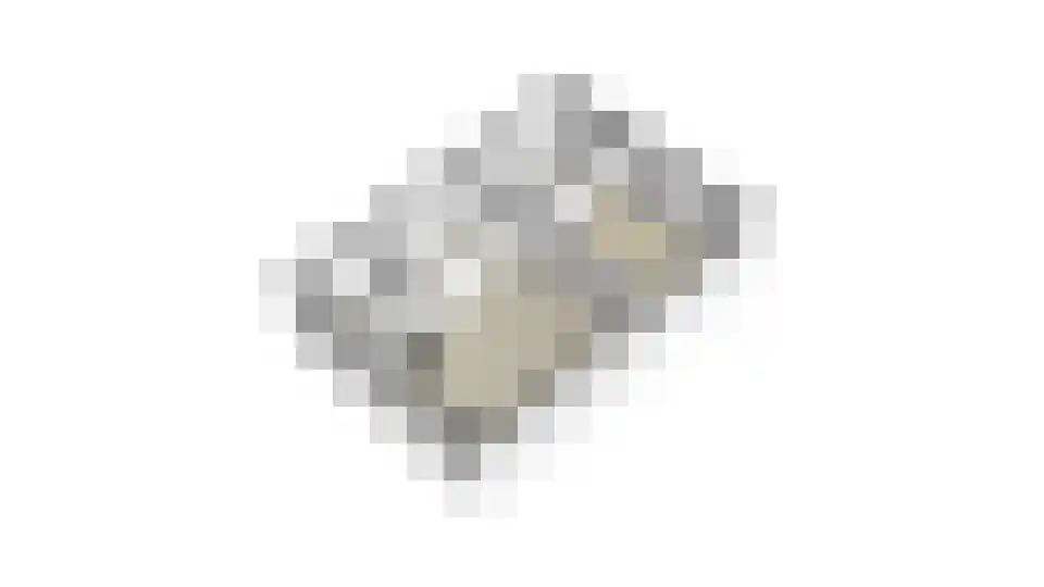 Vossebelt 4 Dalen thumbnail 68