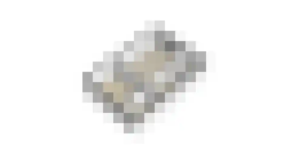 Vossebelt 4 Dalen thumbnail 69