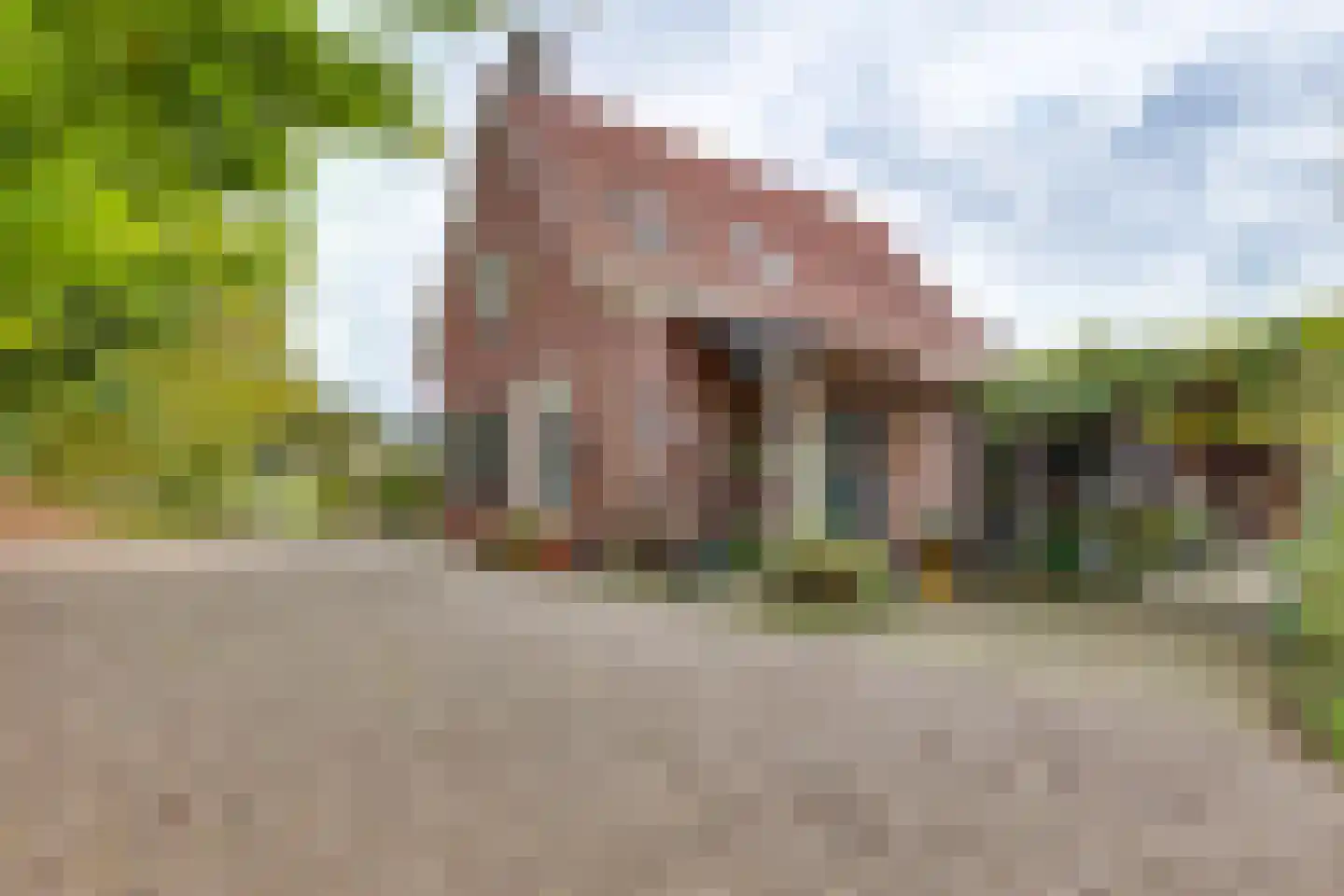 Vossebelt 4 Dalen thumbnail 7