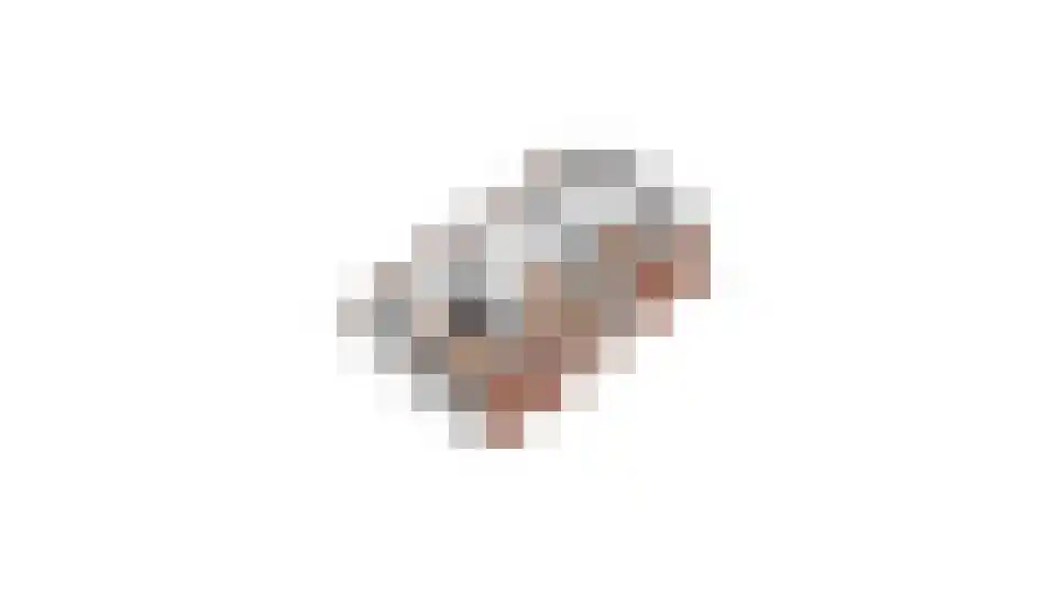 Vossebelt 4 Dalen thumbnail 74