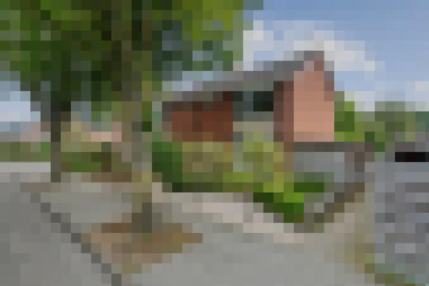 Vossebeltweg 37 in Diepenveen
