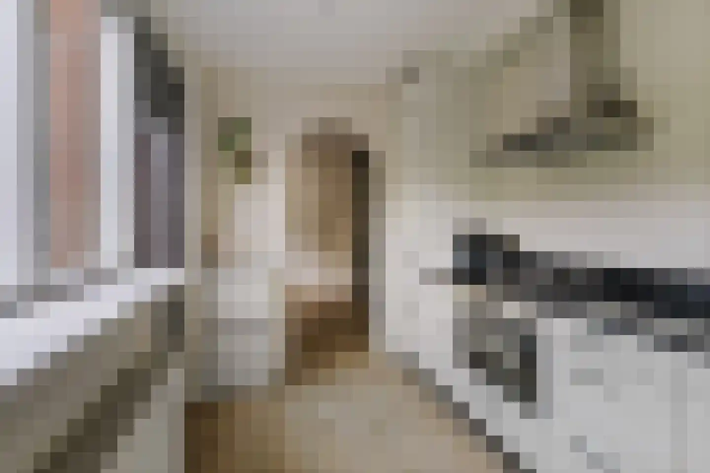 Vossebeltweg 37 Diepenveen thumbnail 15