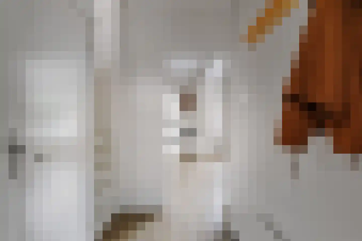 Vossebeltweg 37 Diepenveen thumbnail 18