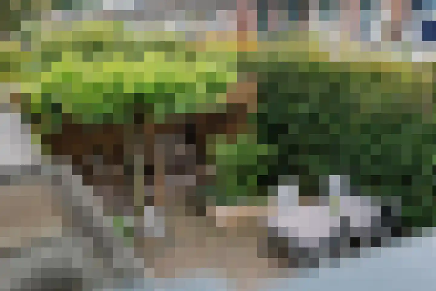 Vossebeltweg 37 Diepenveen thumbnail 25