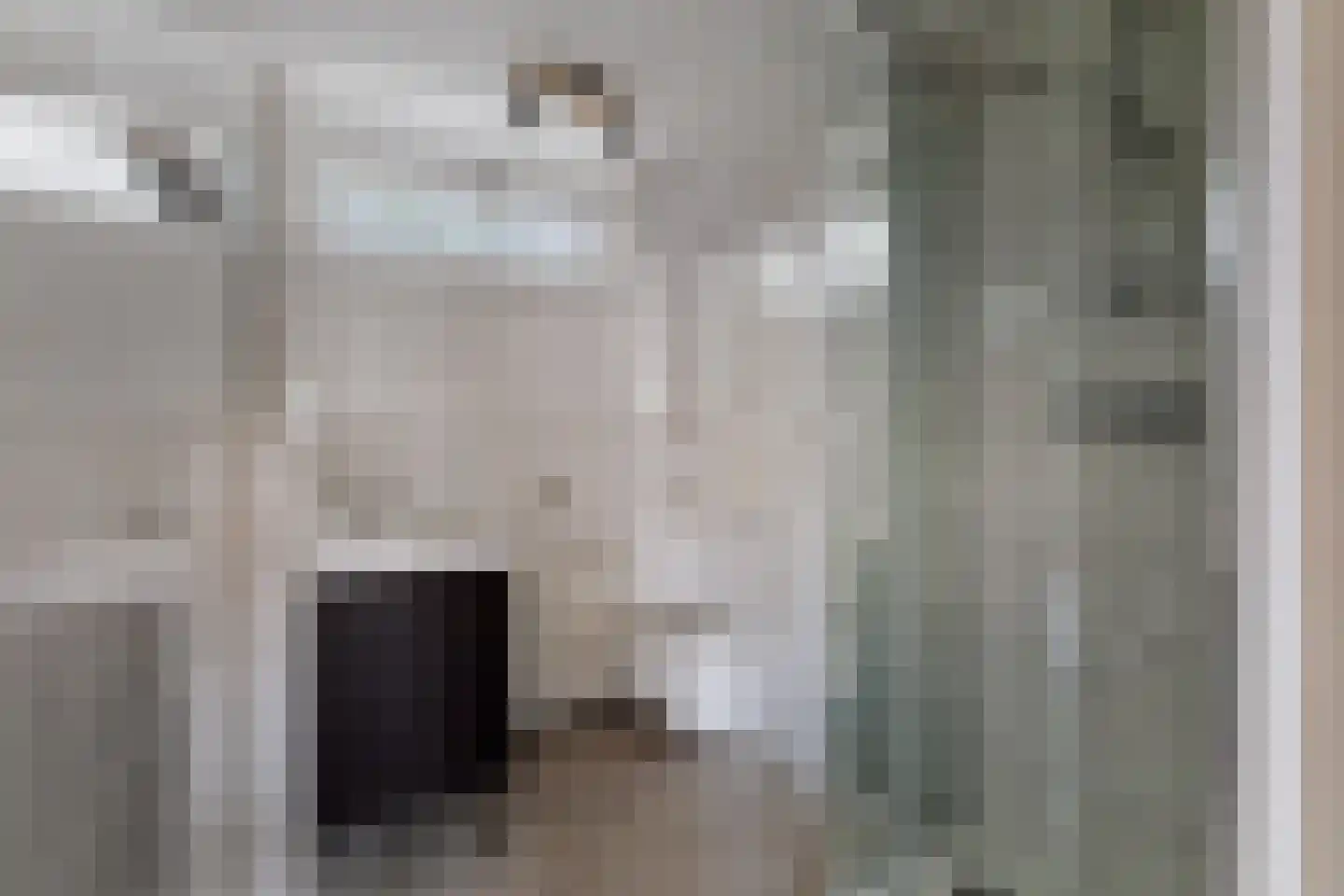 Vossebeltweg 37 Diepenveen thumbnail 27