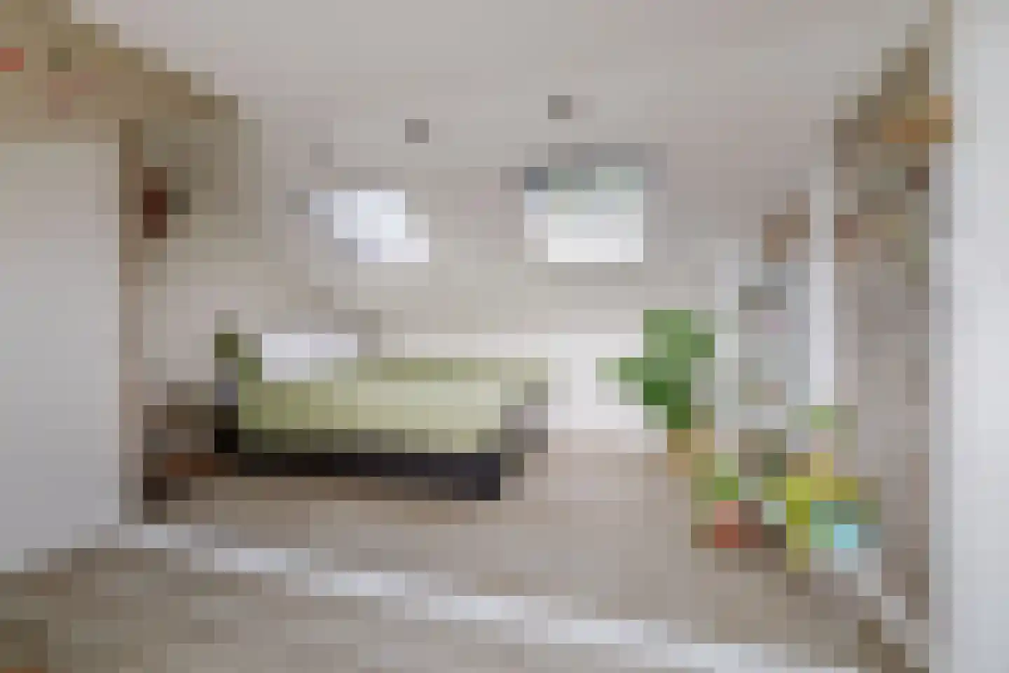 Vossebeltweg 37 Diepenveen thumbnail 32