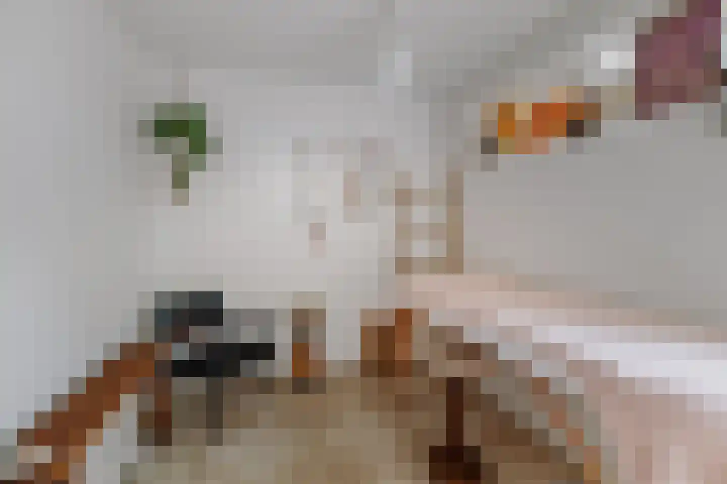 Vossebeltweg 37 Diepenveen thumbnail 35