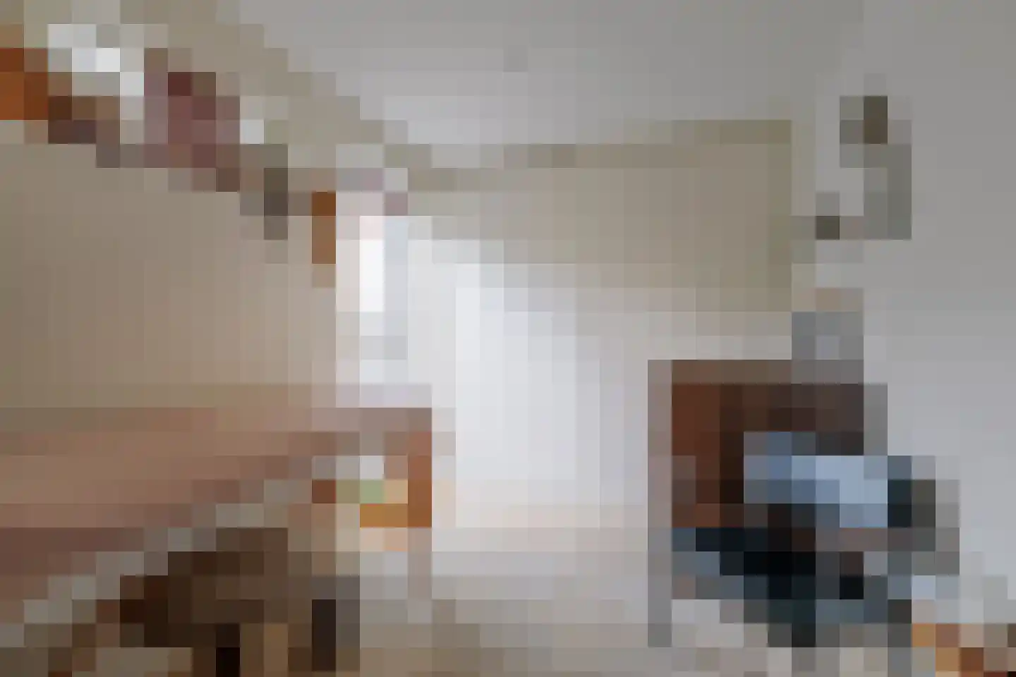 Vossebeltweg 37 Diepenveen thumbnail 36