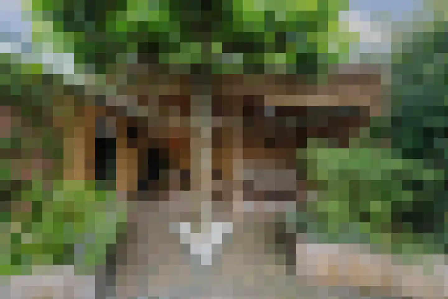Vossebeltweg 37 Diepenveen thumbnail 37