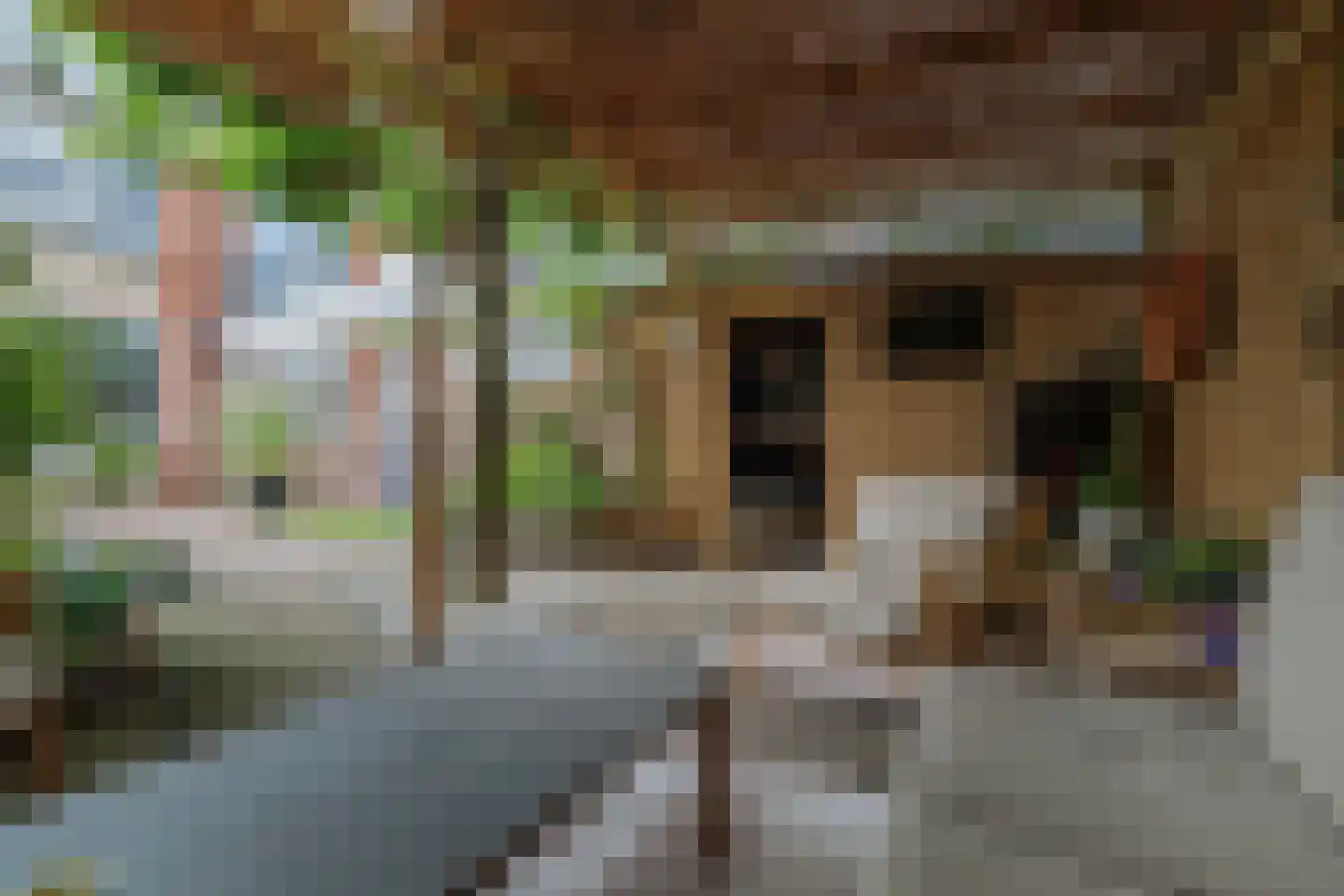 Vossebeltweg 37 Diepenveen thumbnail 38