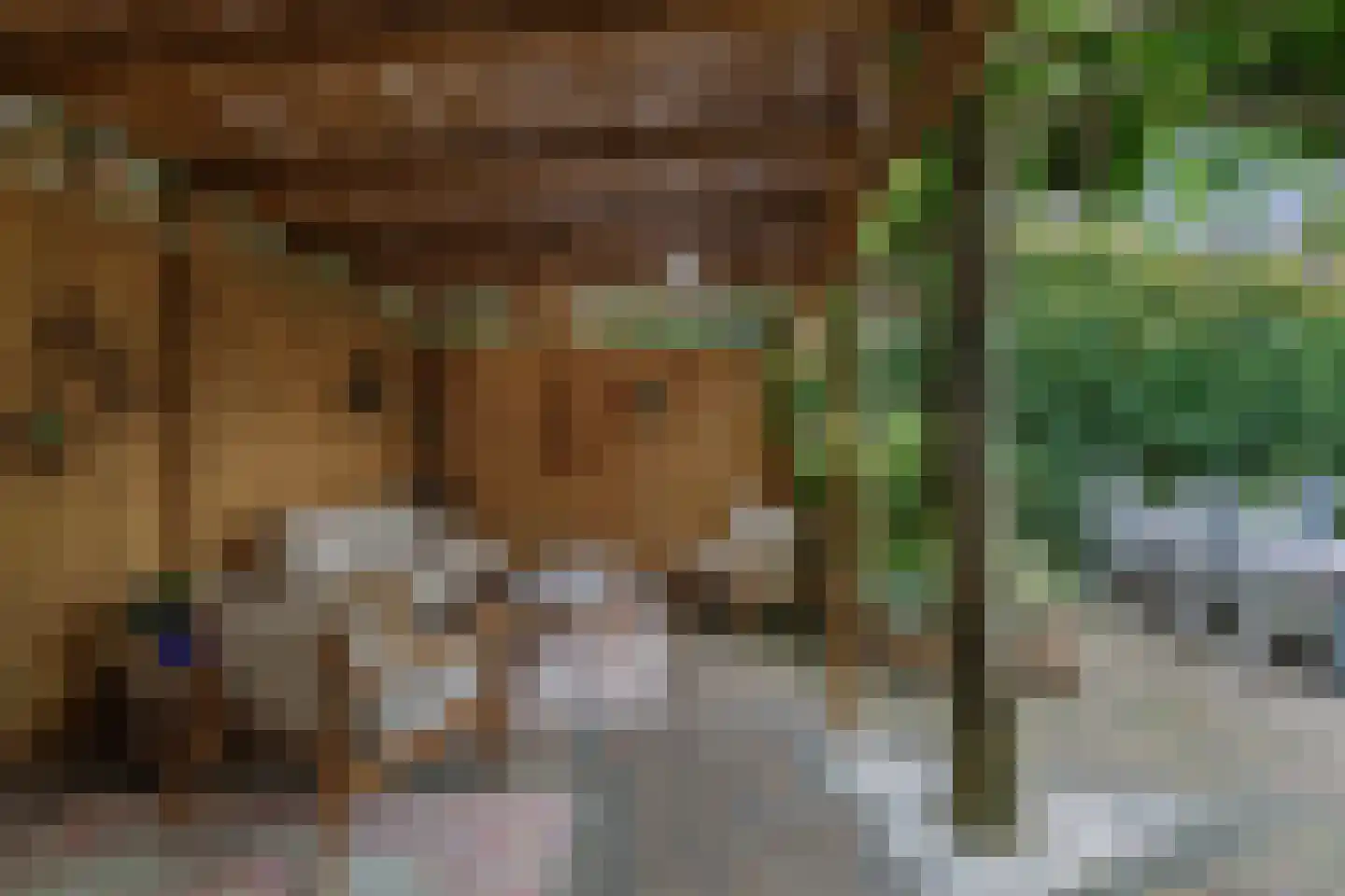 Vossebeltweg 37 Diepenveen thumbnail 4