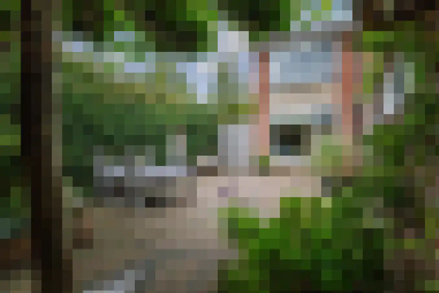 Vossebeltweg 37 Diepenveen thumbnail 41