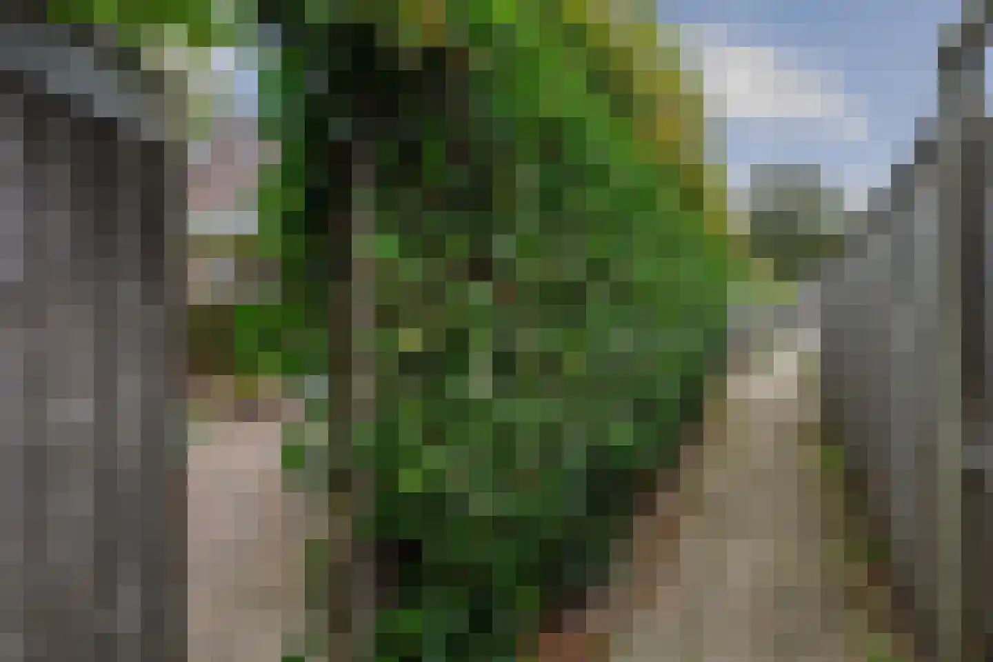 Vossebeltweg 37 Diepenveen thumbnail 42