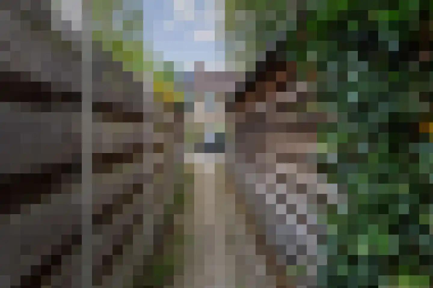 Vossebeltweg 37 Diepenveen thumbnail 43