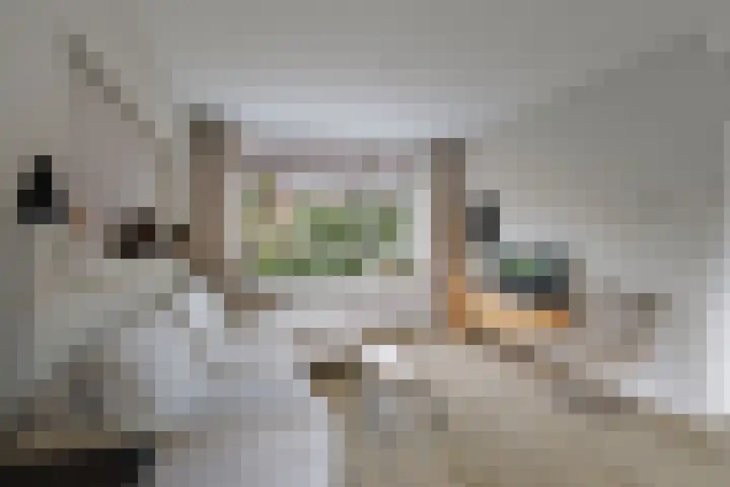 Vossebeltweg 37 Diepenveen thumbnail 8