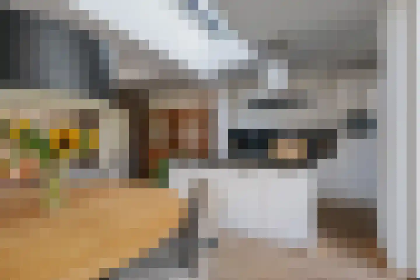 Vossebeltweg 4 Diepenveen thumbnail 14