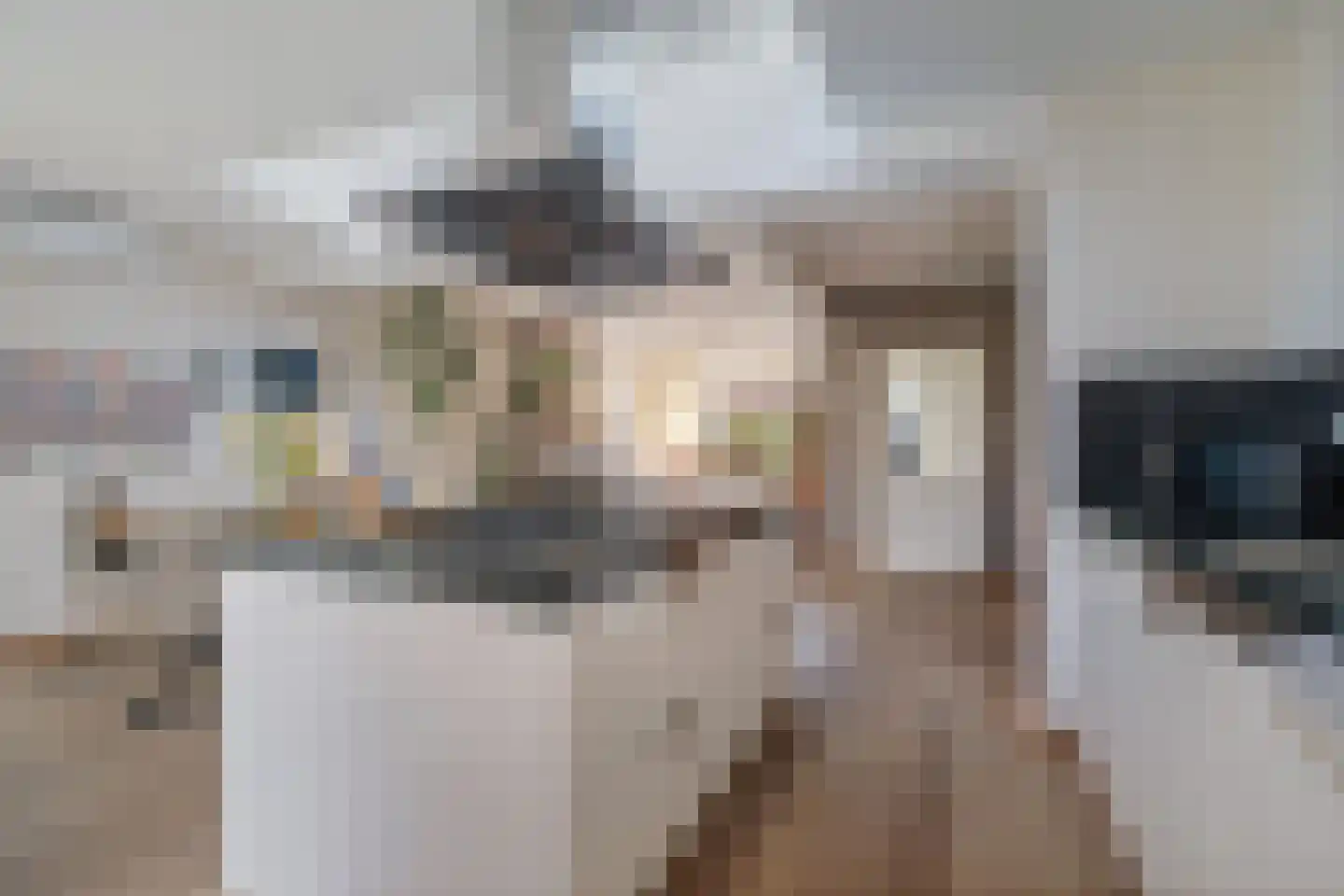 Vossebeltweg 4 Diepenveen thumbnail 16