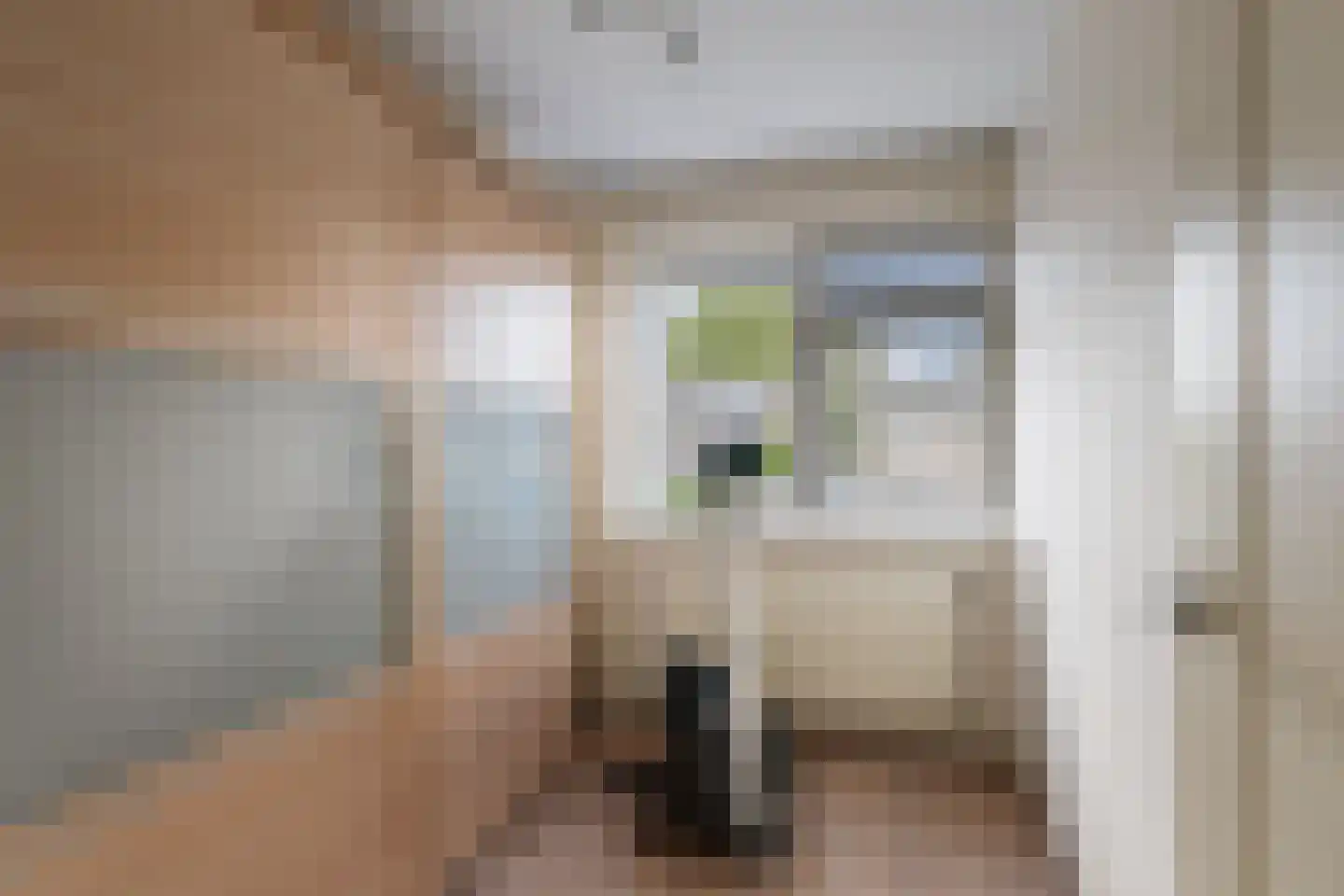 Vossebeltweg 4 Diepenveen thumbnail 25