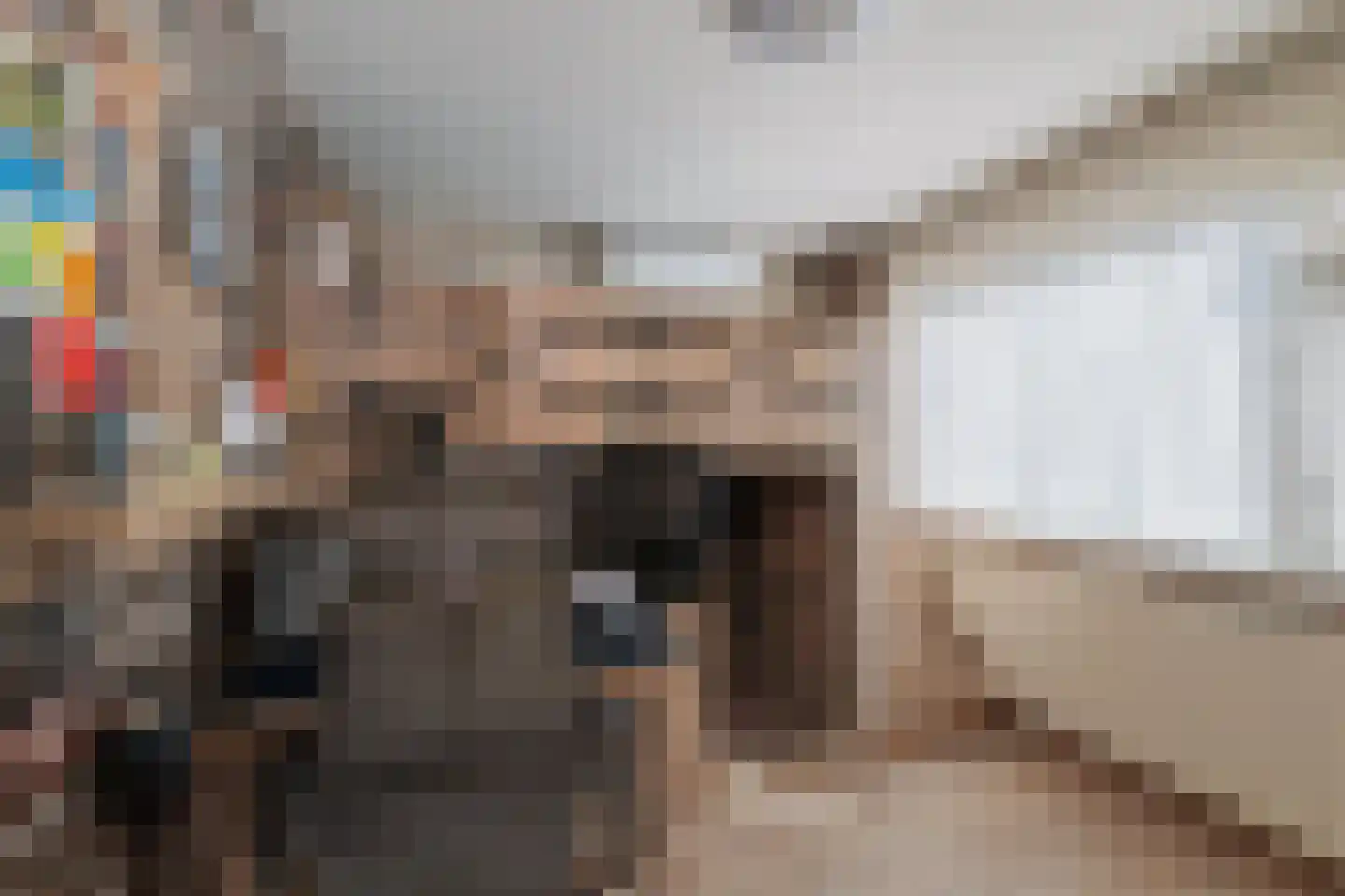 Vossebeltweg 4 Diepenveen thumbnail 26