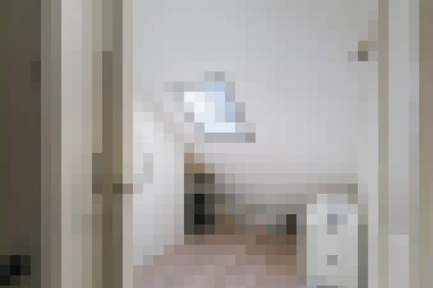 Vossebeltweg 4 Diepenveen thumbnail 31