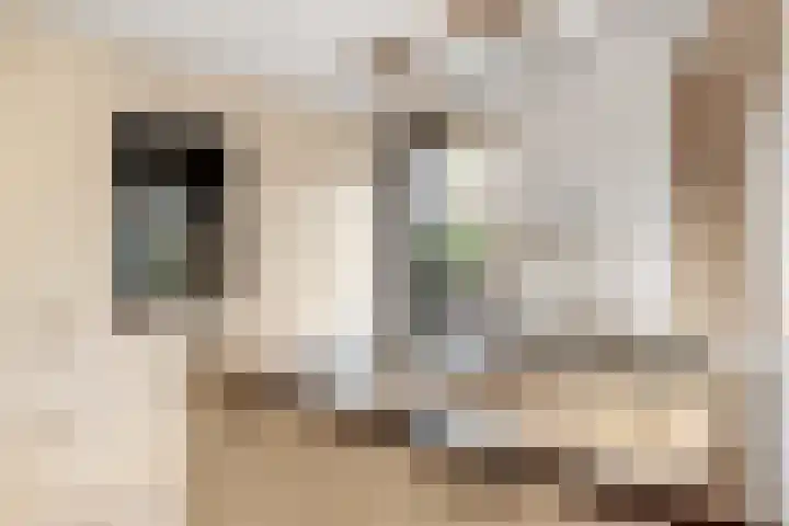 Vossebes 3 Zeewolde thumbnail 17