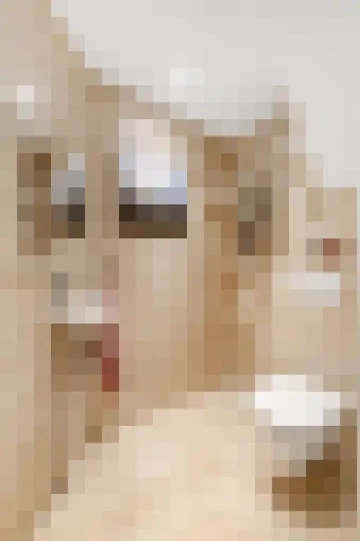 Vossebes 3 Zeewolde thumbnail 22