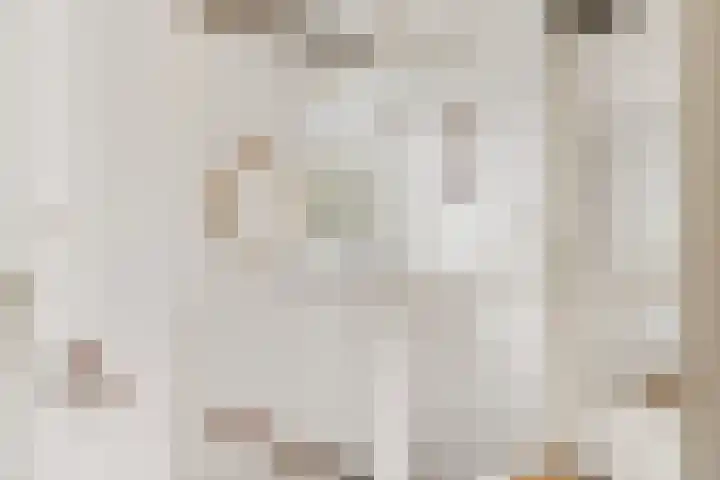 Vossebes 3 Zeewolde thumbnail 23