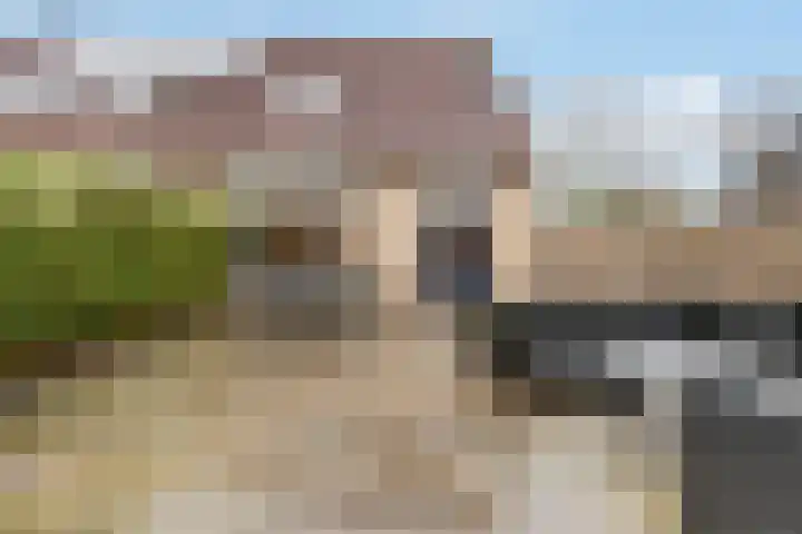Vossebes 3 Zeewolde thumbnail 40