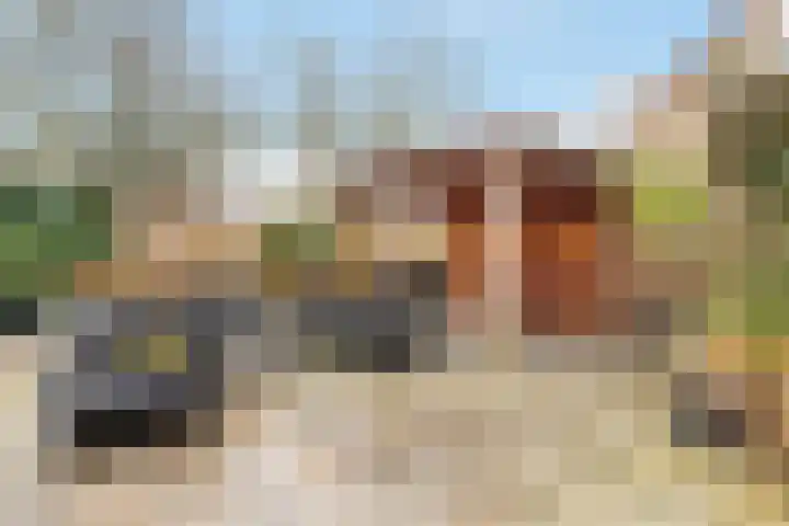 Vossebes 3 Zeewolde thumbnail 43