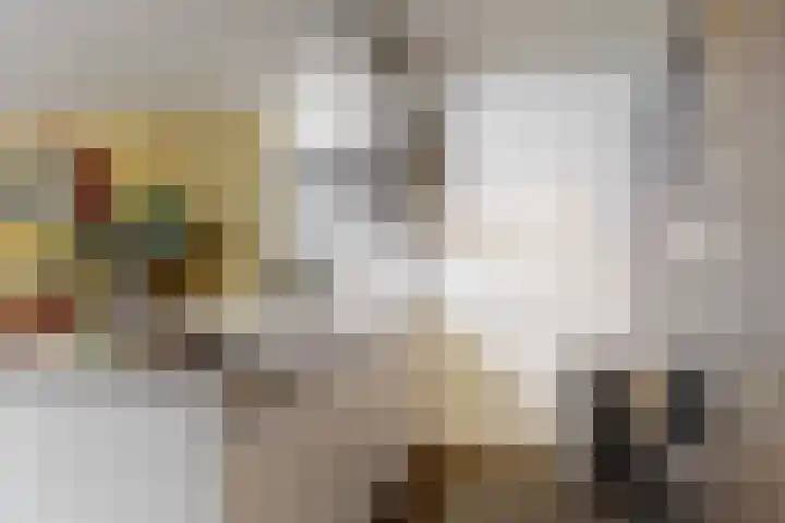 Vossebes 6 Leiden thumbnail 14