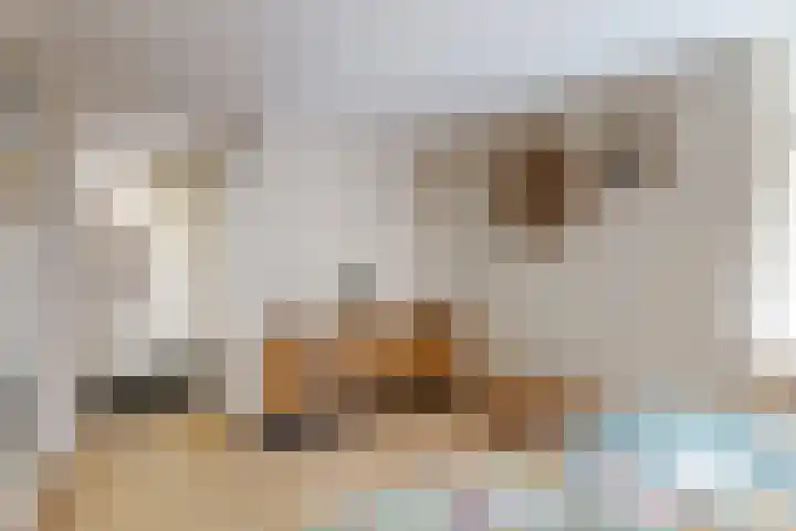 Vossebes 6 Leiden thumbnail 25