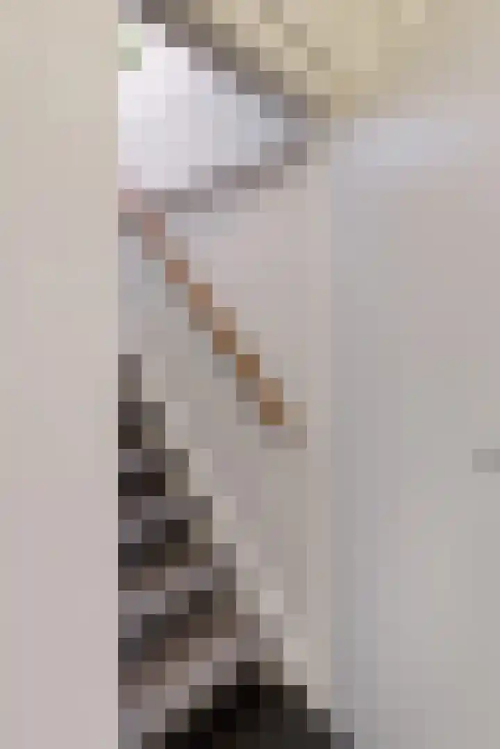 Vossebes 6 Leiden thumbnail 27
