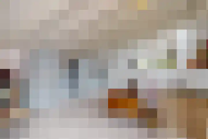 Vossebes 6 Leiden thumbnail 29