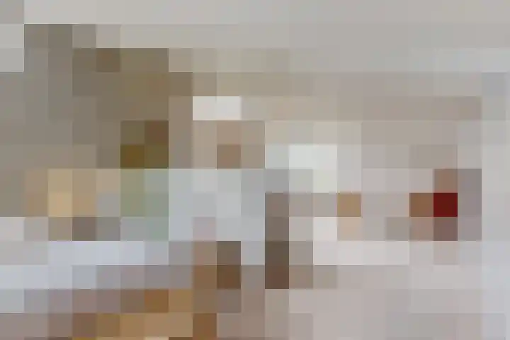 Vossebes 6 Leiden thumbnail 31