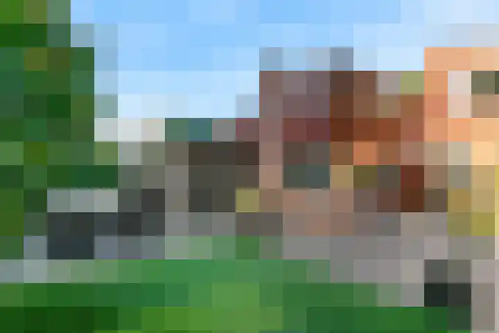 Vossebes 6 Leiden thumbnail 34