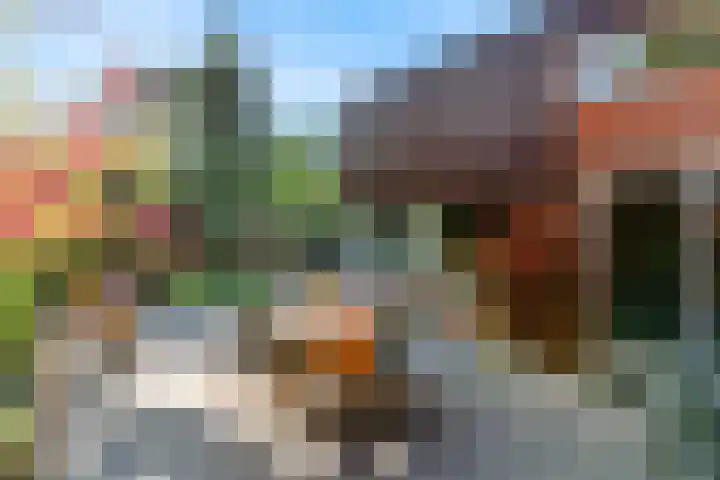 Vossebes 6 Leiden thumbnail 36