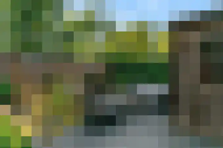 Vossebes 6 Leiden thumbnail 40
